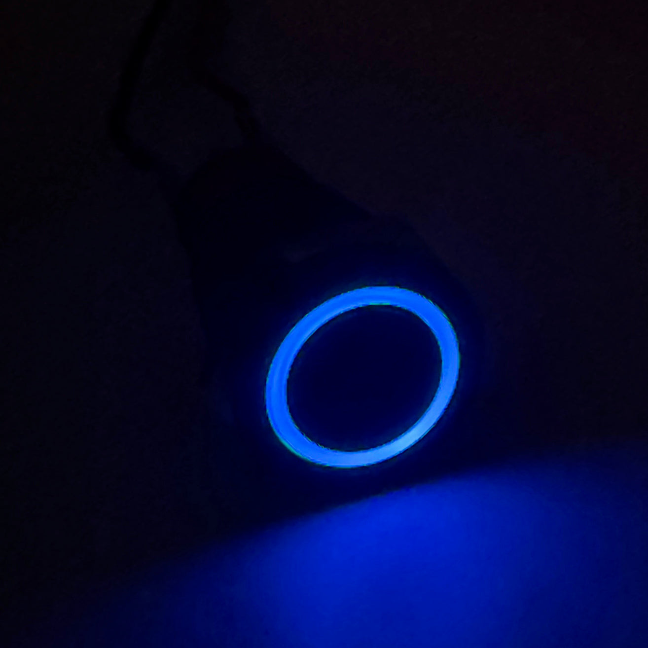 16MM Momentary Button LED Backlit Blue